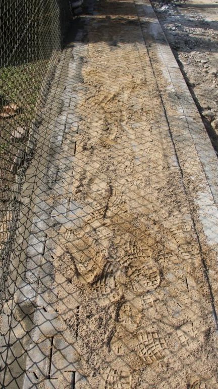 IMG_0756 (Niestandardowy).JPG