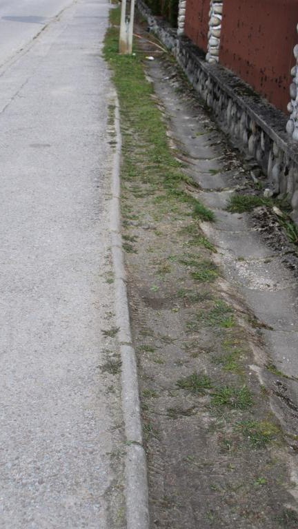 IMG_0953 (Niestandardowy).JPG