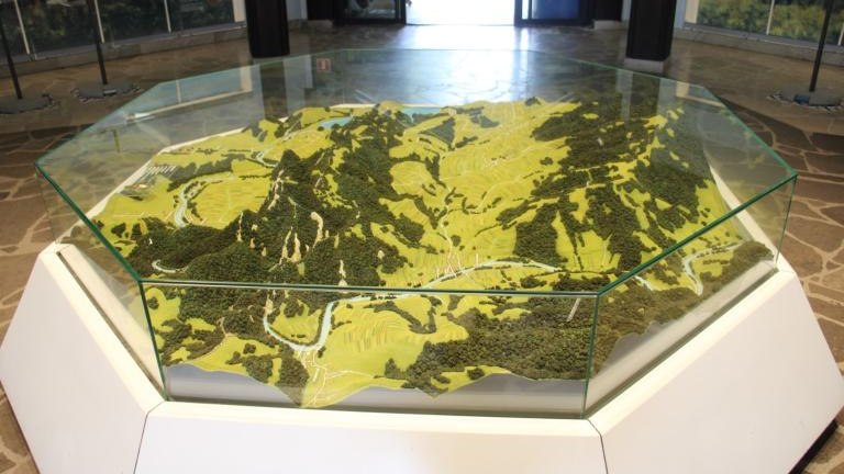 IMG_1815 (Niestandardowy).JPG