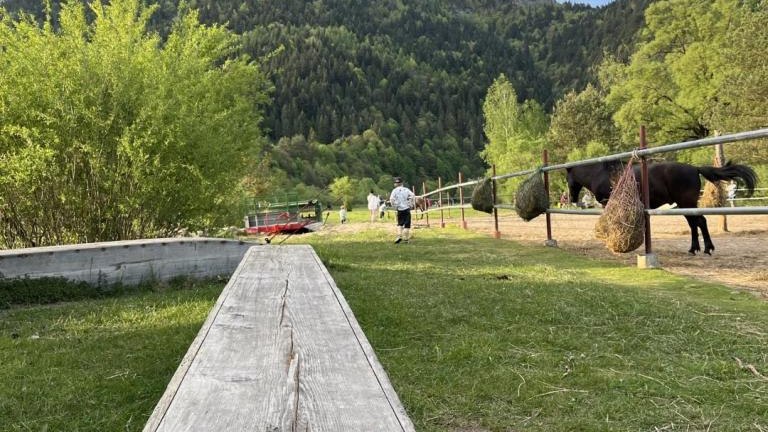 Messenger_creation_b457cbf8-beb0-42f4-b5d1-497e79cc8d49 (Niestandardowy).jpeg