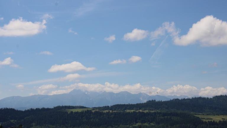 IMG_3953 (Niestandardowy).JPG