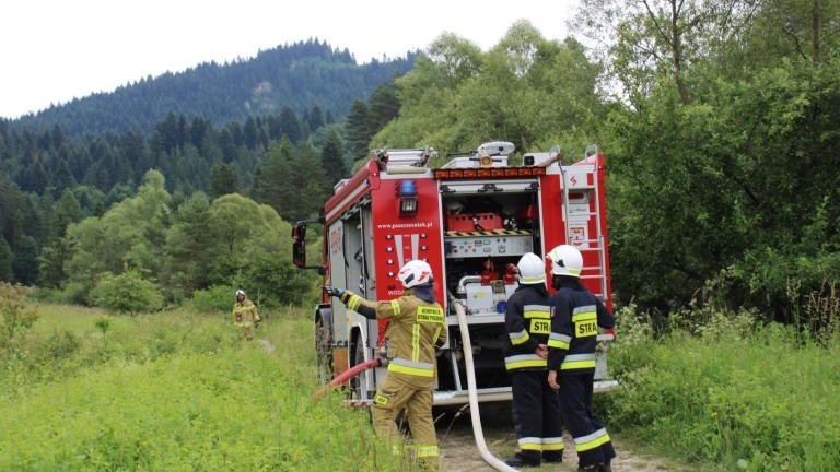 IMG_4003 (Niestandardowy).JPG