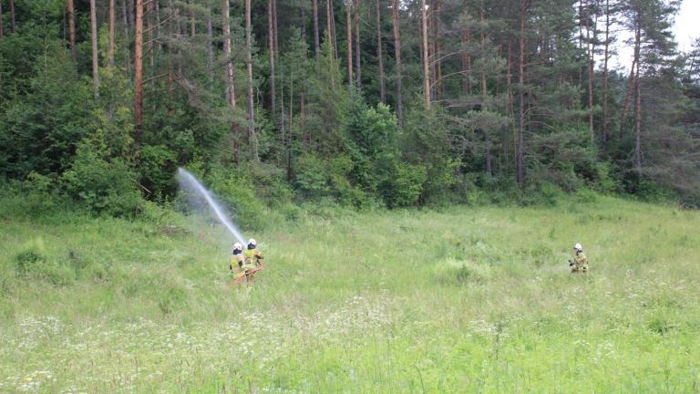 IMG_4004 (Niestandardowy).JPG