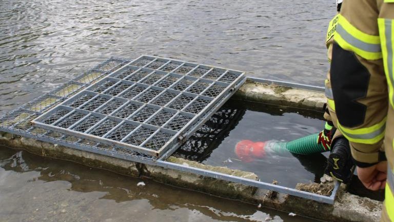 IMG_4011 (Niestandardowy).JPG