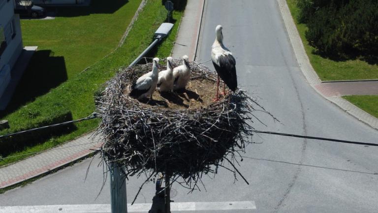 DJI_0551 (Niestandardowy).JPG