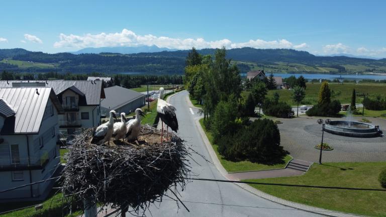 DJI_0553 (Niestandardowy).JPG