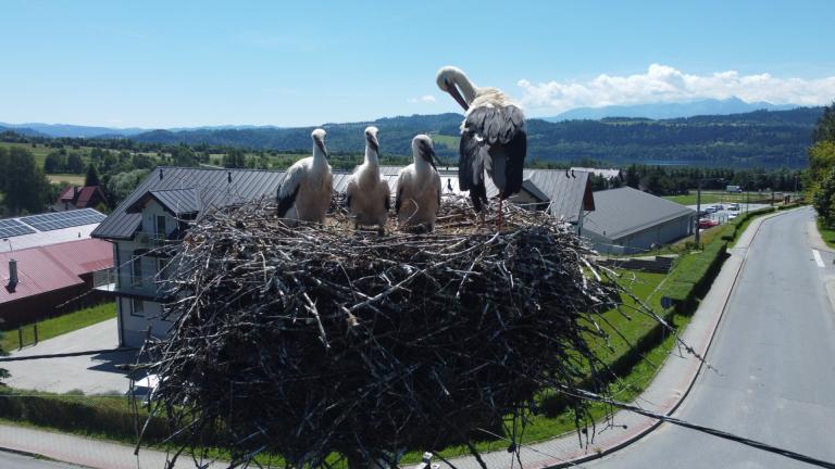 DJI_0559 (Niestandardowy).JPG