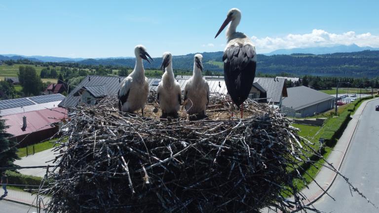 DJI_0561 (Niestandardowy).JPG