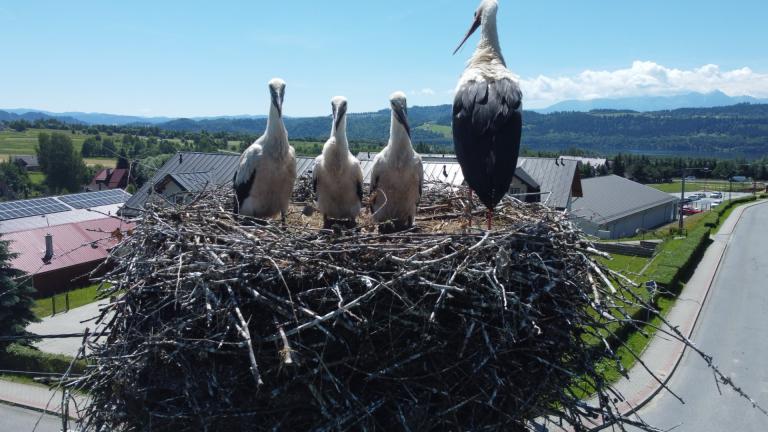 DJI_0563 (Niestandardowy).JPG