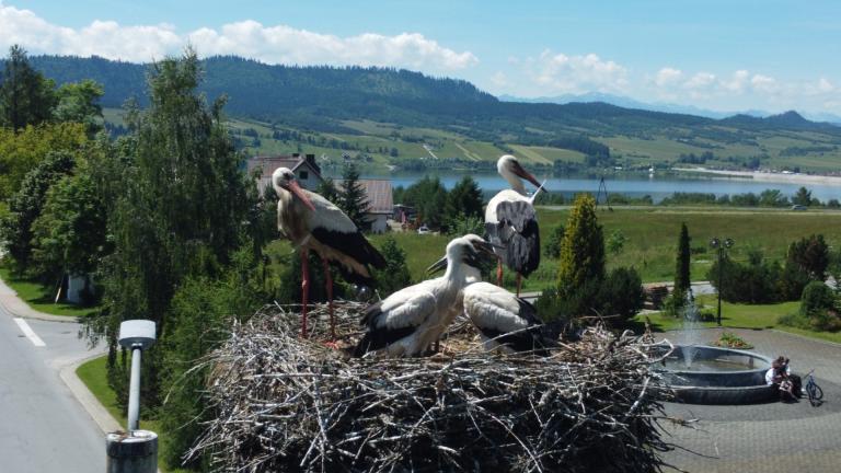 DJI_0565 (Niestandardowy).JPG