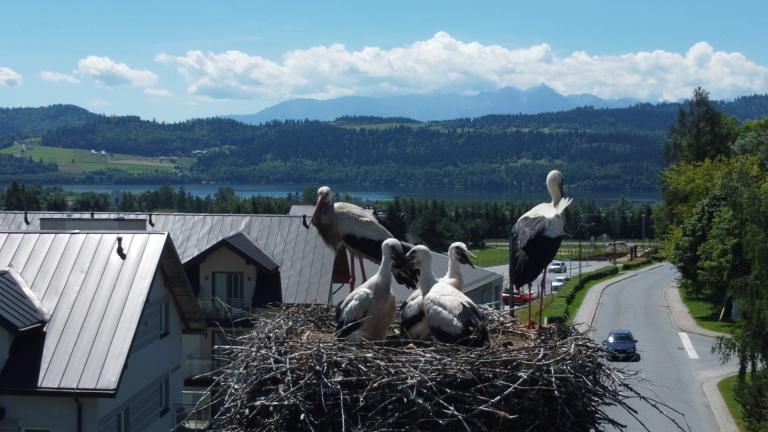 DJI_0566 (Niestandardowy).JPG