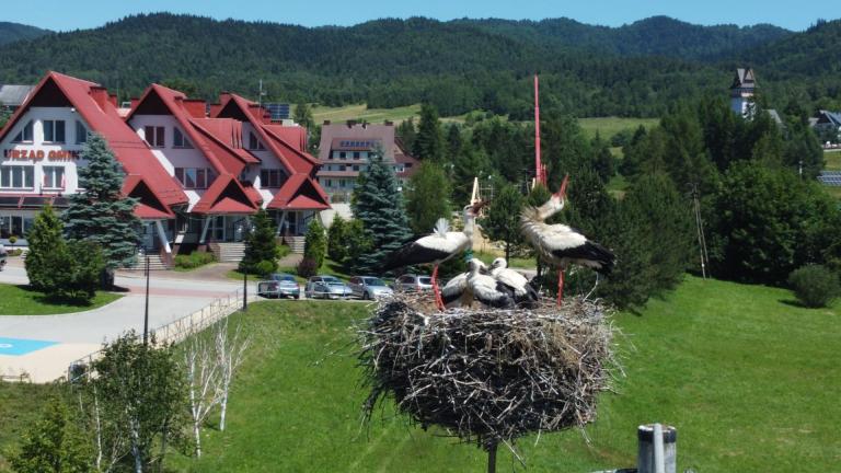 DJI_0567 (Niestandardowy).JPG