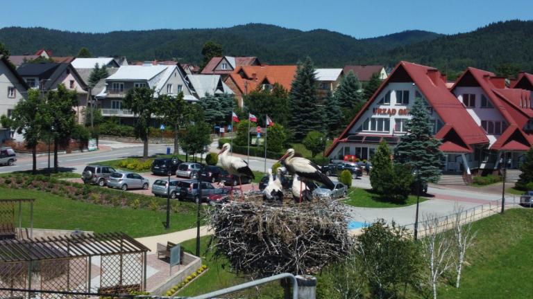 DJI_0568 (Niestandardowy).JPG