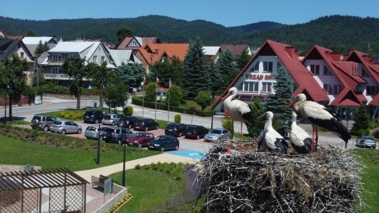 DJI_0570 (Niestandardowy).JPG