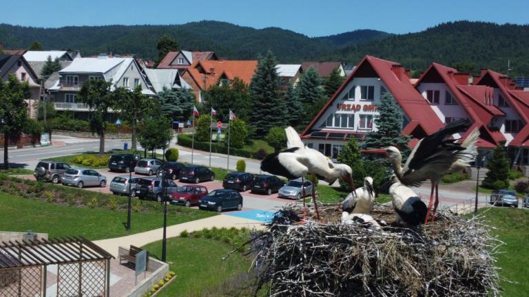 DJI_0571 (Niestandardowy).JPG