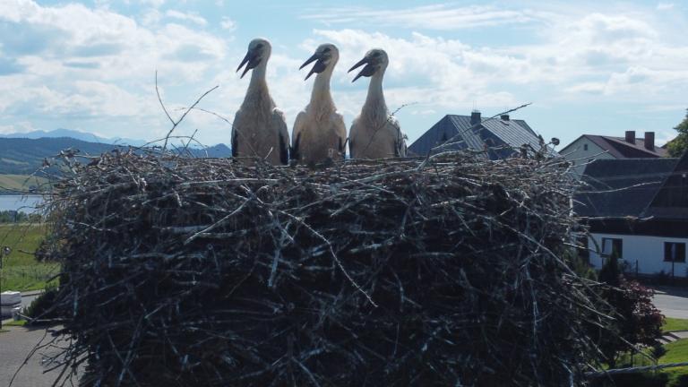 DJI_0574 (Niestandardowy).JPG