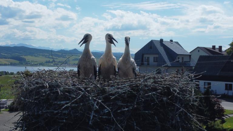 DJI_0575 (Niestandardowy).JPG