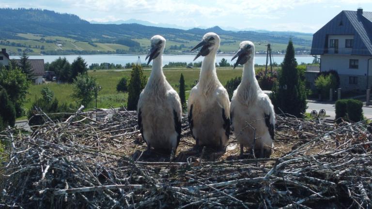 DJI_0578 (Niestandardowy).JPG