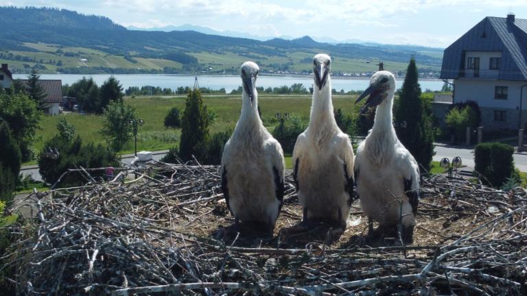 DJI_0580 (Niestandardowy).JPG