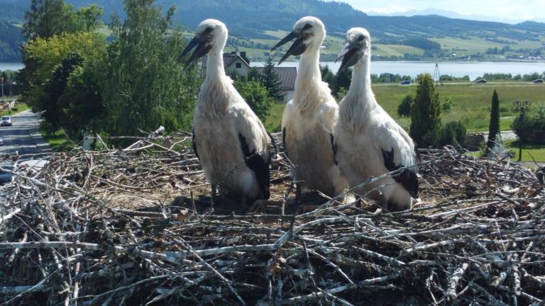 DJI_0581 (Niestandardowy).JPG