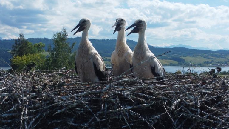 DJI_0582 (Niestandardowy).JPG