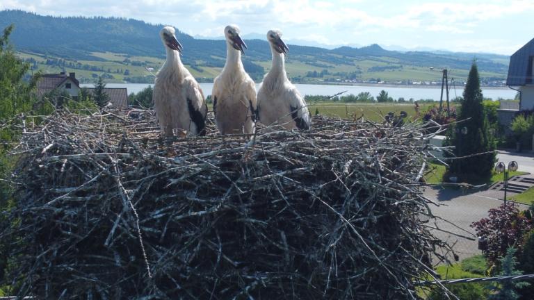 DJI_0588 (Niestandardowy).JPG