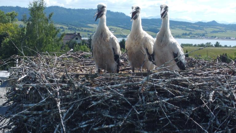 DJI_0589 (Niestandardowy).JPG