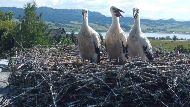 DJI_0591 (Niestandardowy).JPG