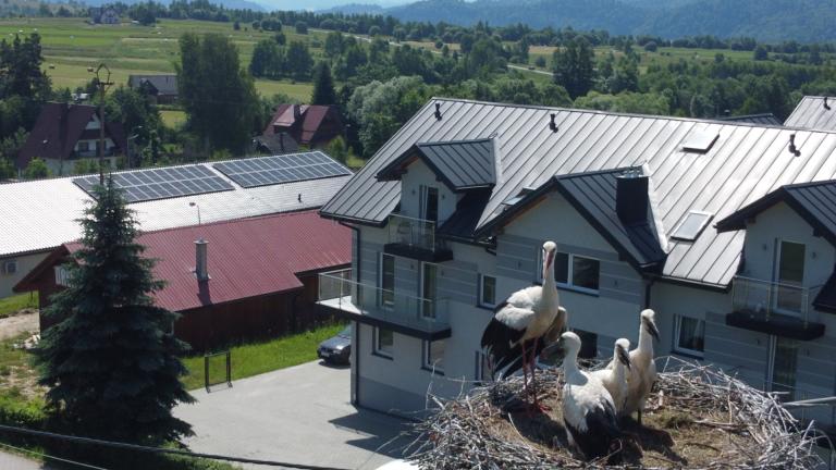 DJI_0647 (Niestandardowy).JPG