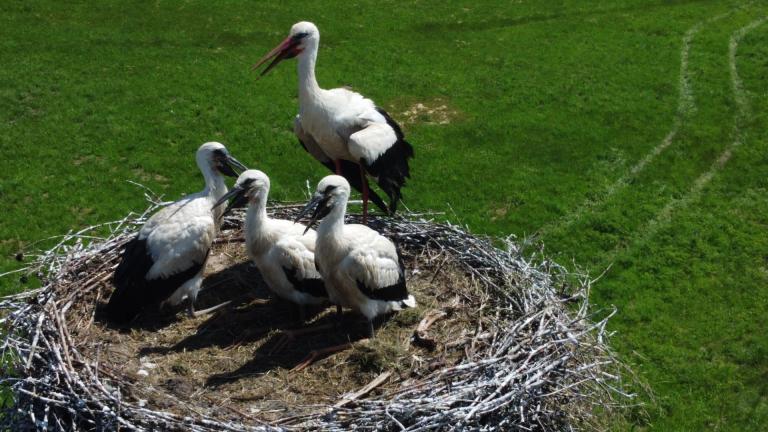 DJI_0649 (Niestandardowy).JPG