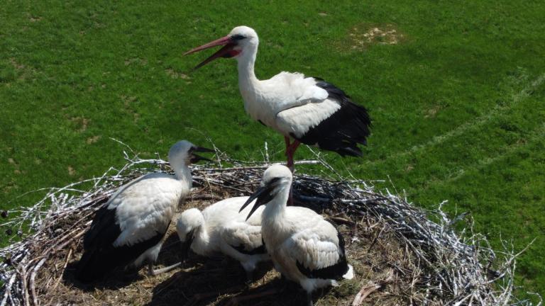 DJI_0651 (Niestandardowy).JPG