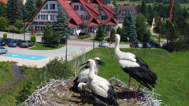 DJI_0652 (Niestandardowy).JPG