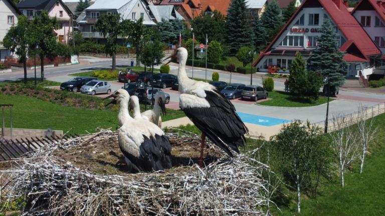 DJI_0653 (Niestandardowy).JPG