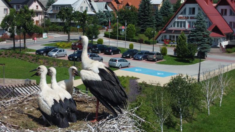 DJI_0655 (Niestandardowy).JPG