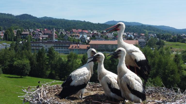 DJI_0658 (Niestandardowy).JPG