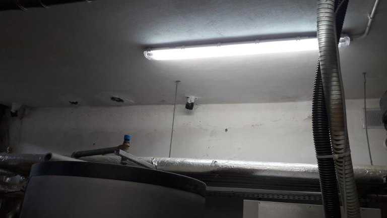 20240701_094451 (Niestandardowy).jpg