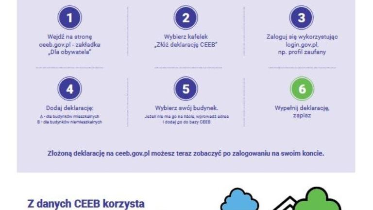 Deklaracja 2 (Niestandardowy).JPG