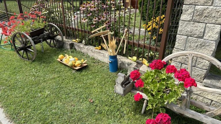 1 (3) (Niestandardowy).jpeg