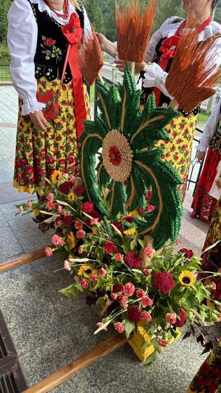 1 (8) (Niestandardowy).jpeg