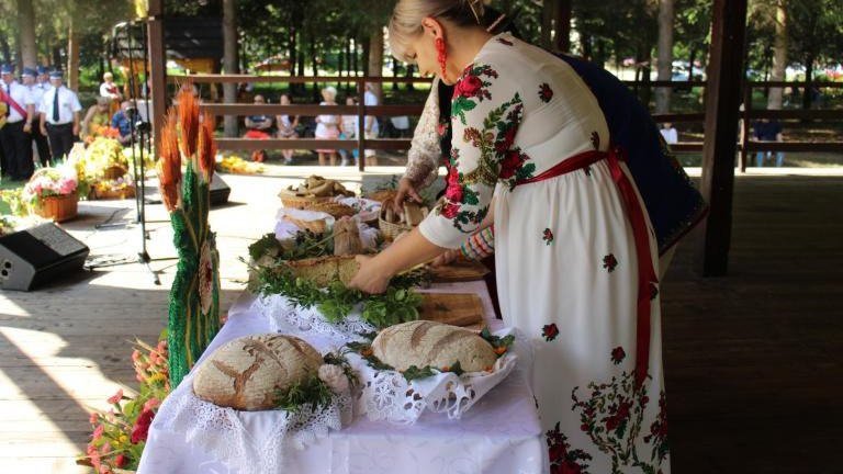 5 (1) (Niestandardowy).JPG