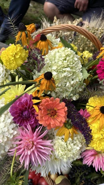 IMG_1479 (Niestandardowy) (Niestandardowy).jpeg