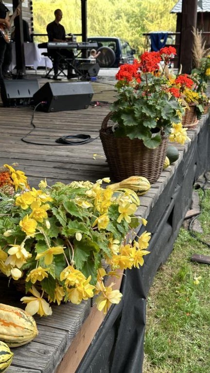 IMG_1482 (Niestandardowy) (Niestandardowy).jpeg