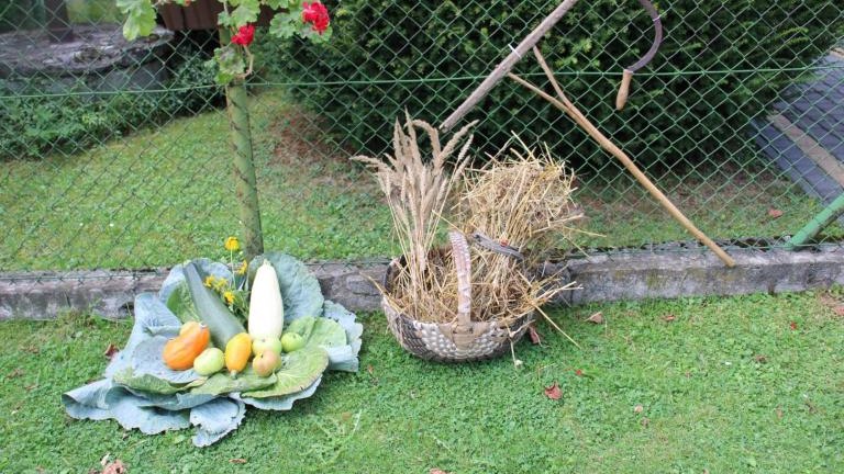 IMG_5688 (Niestandardowy) (Niestandardowy).JPG