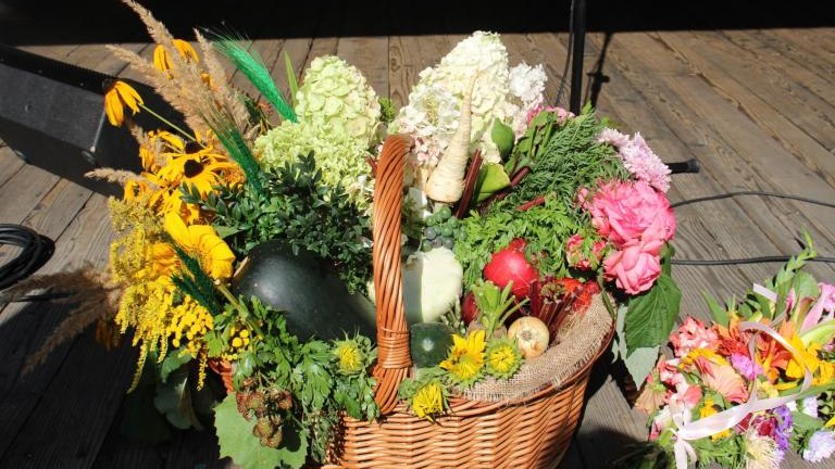 IMG_5716 (Niestandardowy).JPG