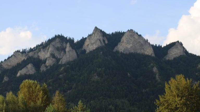 IMG_5784 (Niestandardowy).JPG