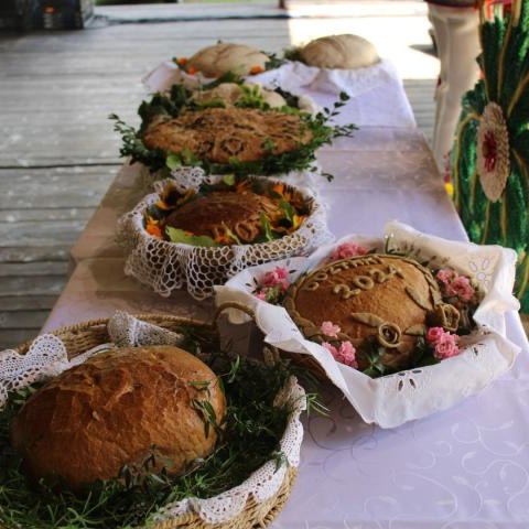 Święto plonów w Sromowcach Niżnych