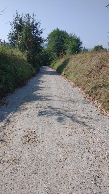 IMG_20240828_101824805 (Niestandardowy).jpg