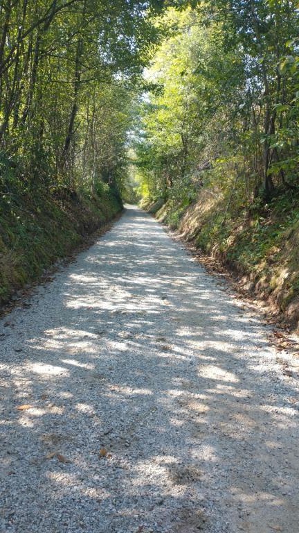 IMG_20240828_102000119 (Niestandardowy).jpg