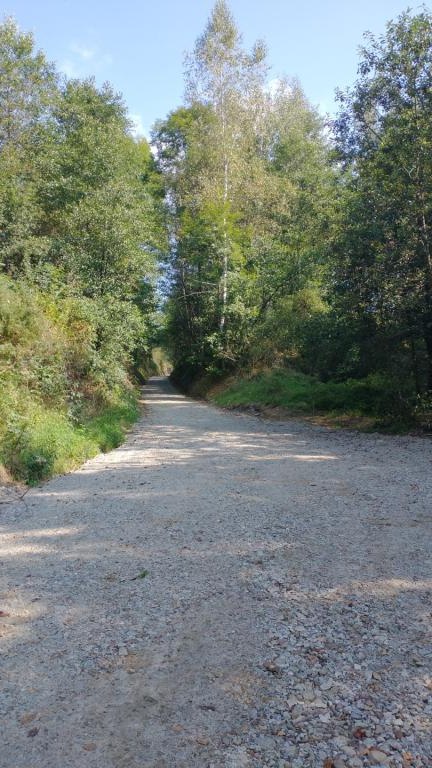 IMG_20240828_102118574 (Niestandardowy).jpg