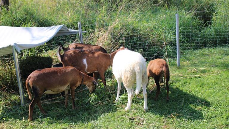 IMG_6161 (Niestandardowy).JPG